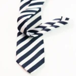 Blue & White Striped Tie & Pocket Square Set | Premium Men’s Formal Striped Tie | Classic Blue & White Design - Image 3
