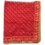 Qabool Hai Bridal Embroidered Net Dupatta | Nikah & Wedding Special | Premium Fancy Bridal Wear - Image 2